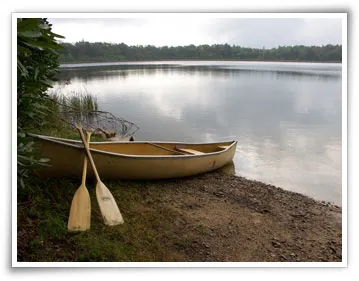 a boat at the river shore